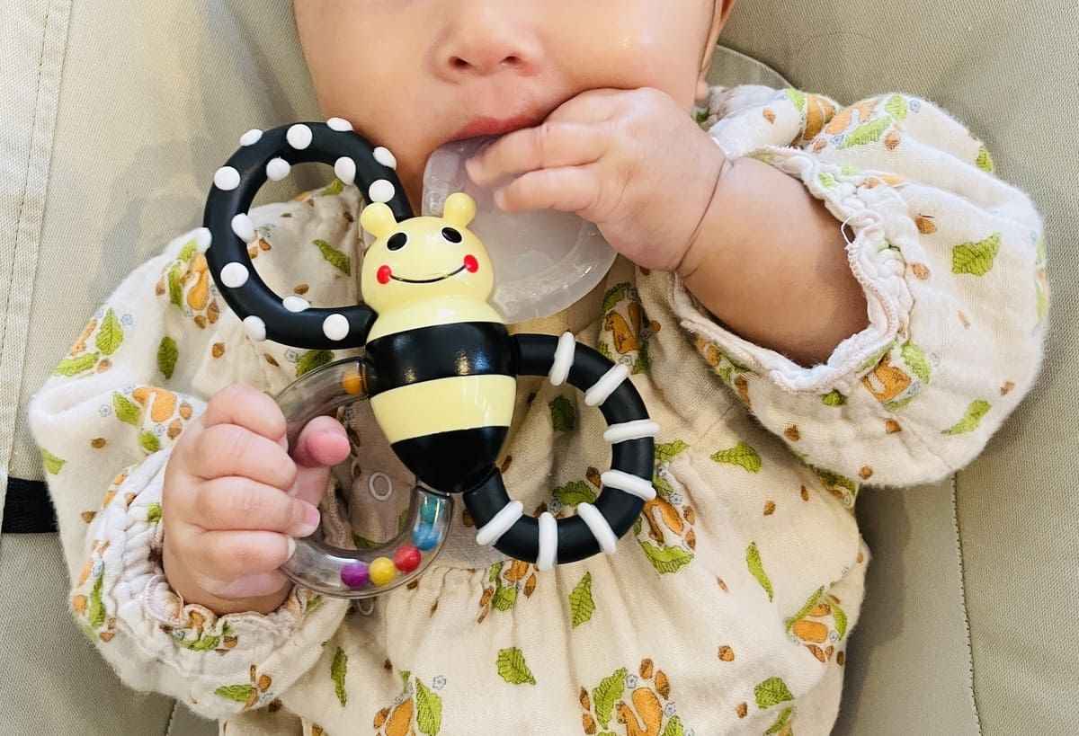 ミツバチの歯固めをくわえている赤ちゃん